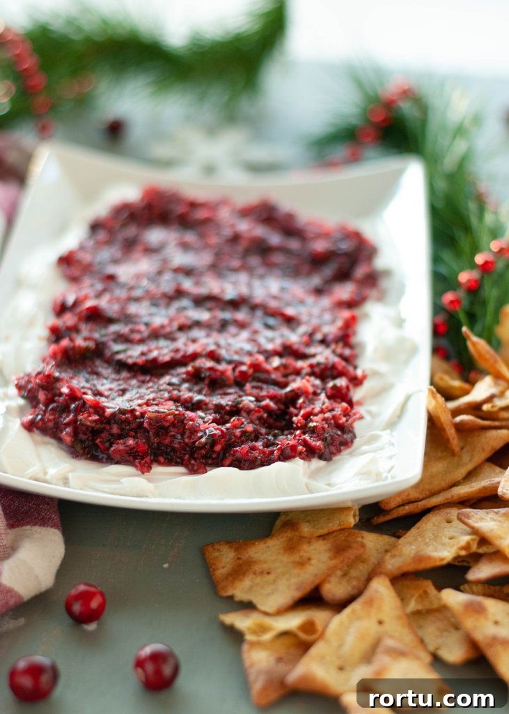 how-to-make-cranberry-cream-cheese-salsa-dairy-free
