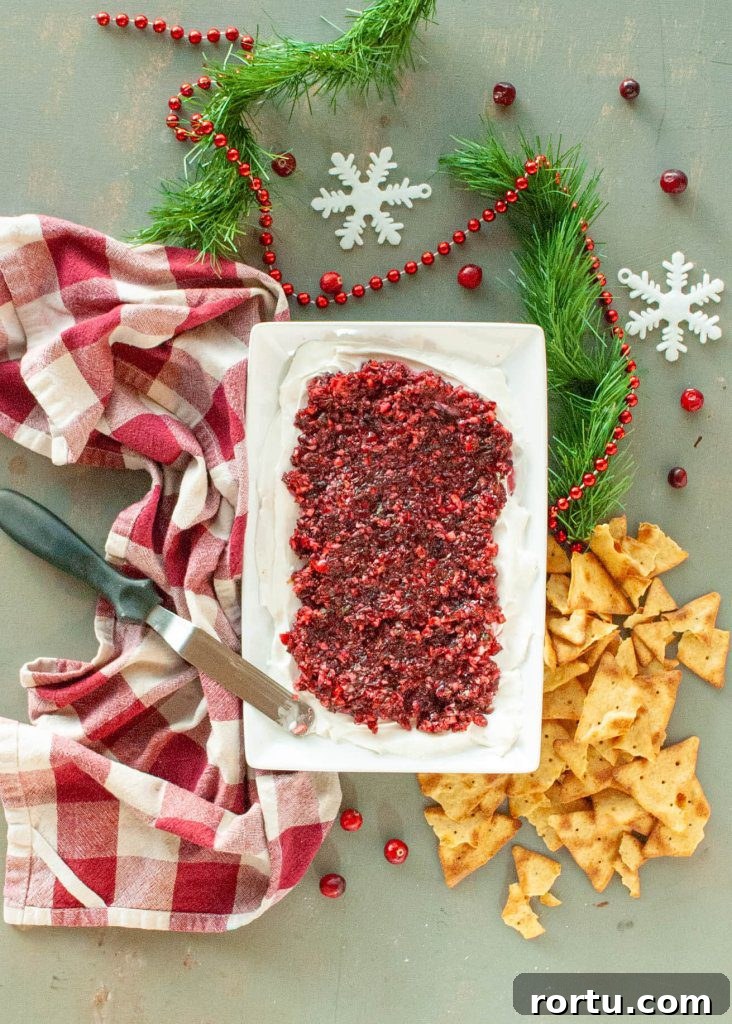 dairy-free-cranberry-salsa-dip