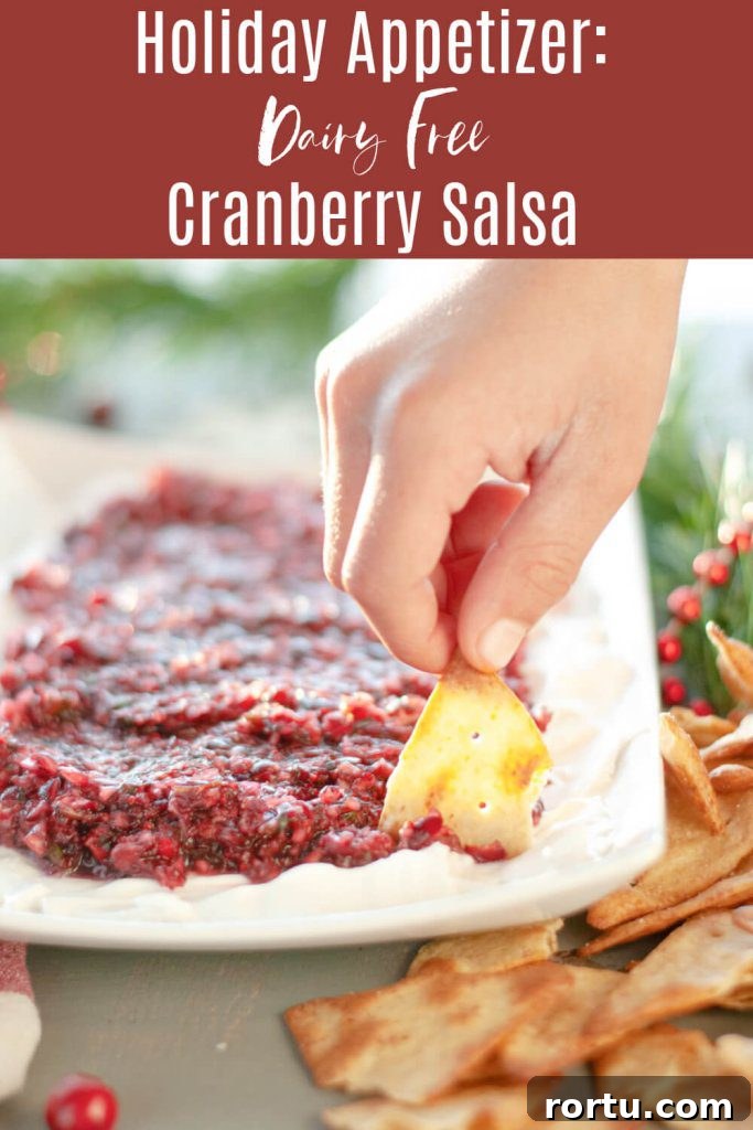 dairy-free-holiday-appetizer-cranberry-salsa