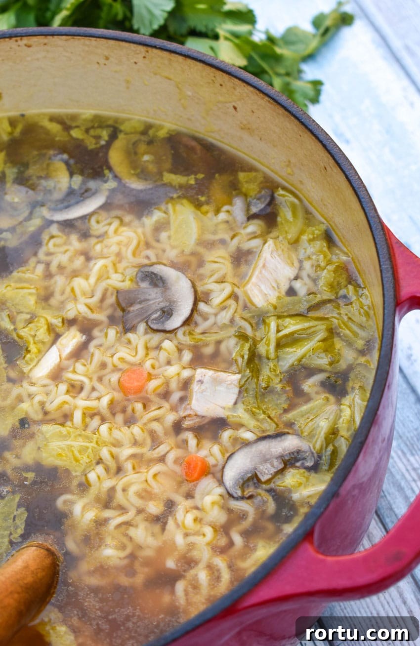 Asian chicken noodle soup in a large red dutch oven