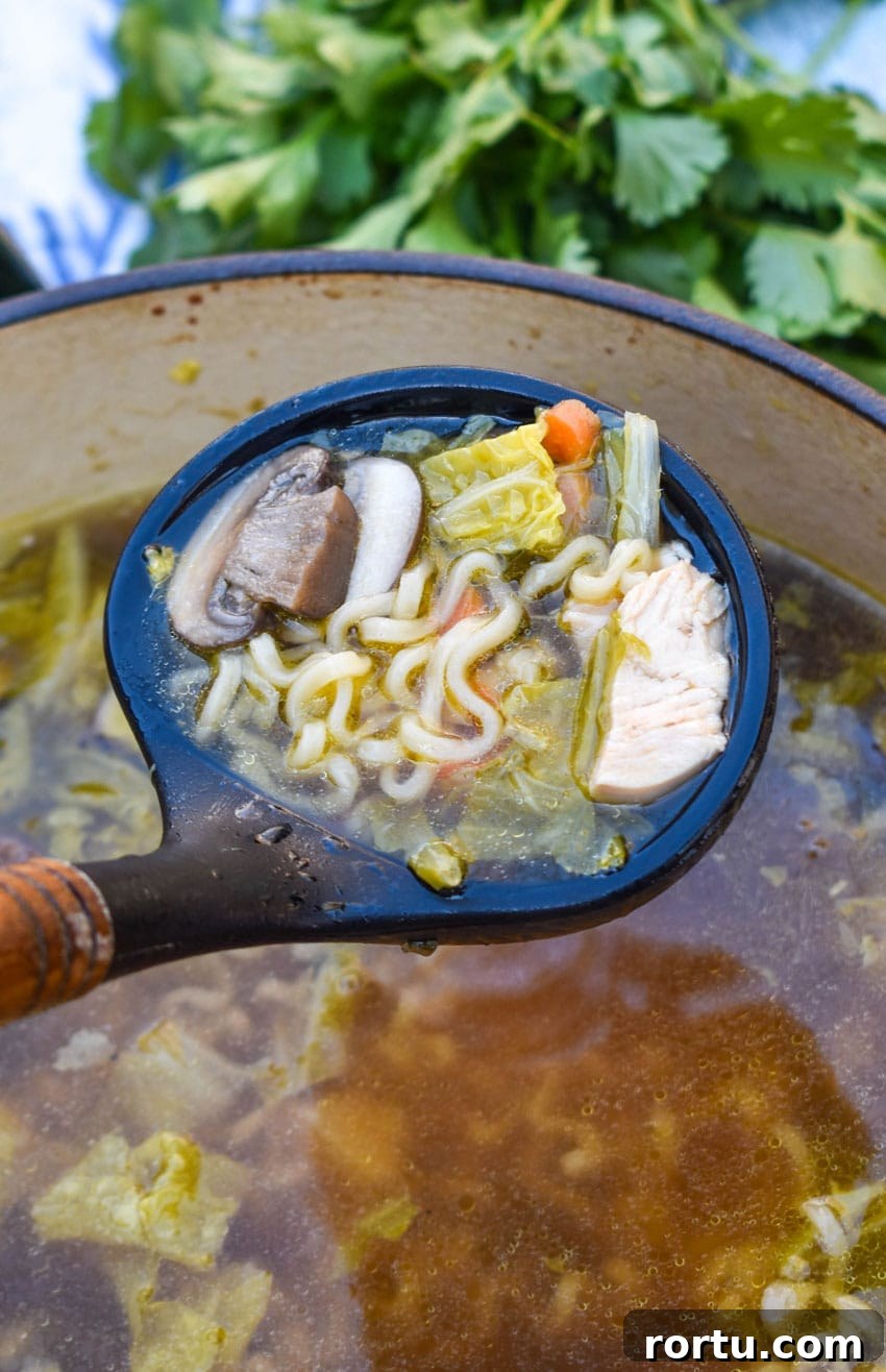 a black silicone ladle holding up a scoop of Asian chicken noodle soup