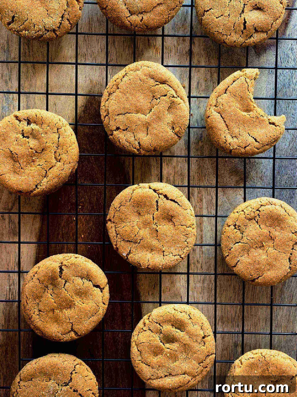 Soft Chewy Gingerbread Cookies Recipe for Holiday Baking 7 gingerbread cookies on rack