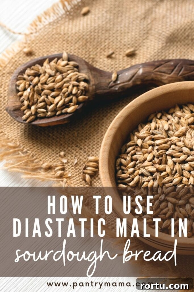 HOW TO USE DIASTATIC MALT POWDER IN SOURDOUGH BREAD