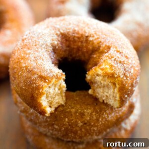 Baked Apple Cider Donuts Recipe — Soft Spiced Fall Treat 3 Baked Apple Cider Donuts Recipe