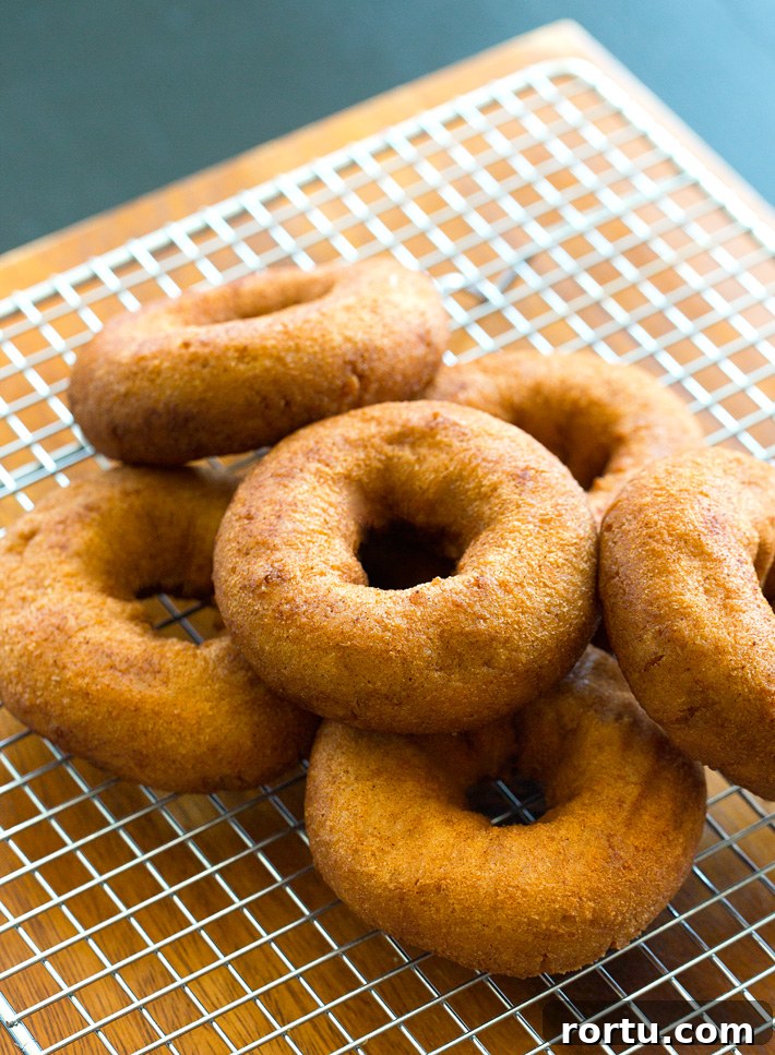 Low Fat Unfrosted Donuts Low Fat Unfrosted Donuts