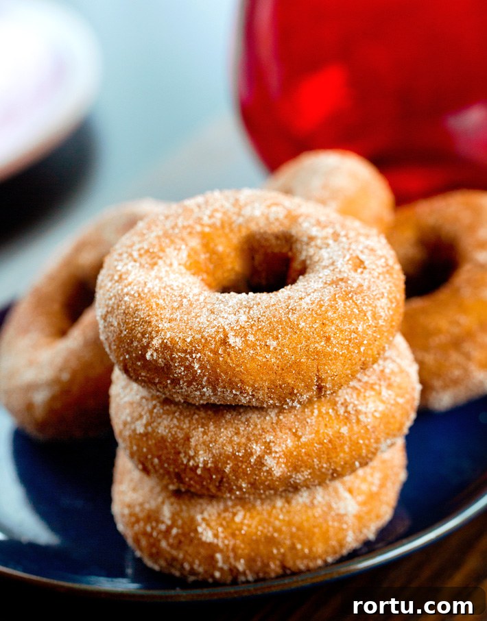 Vegan Apple Cider Donut Recipe Vegan Apple Cider Donut Recipe