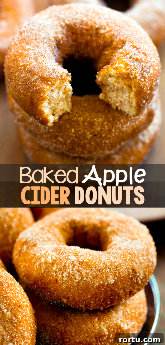 Cinnamon Maple Apple Baked Donuts Cinnamon Maple Apple Baked Donuts