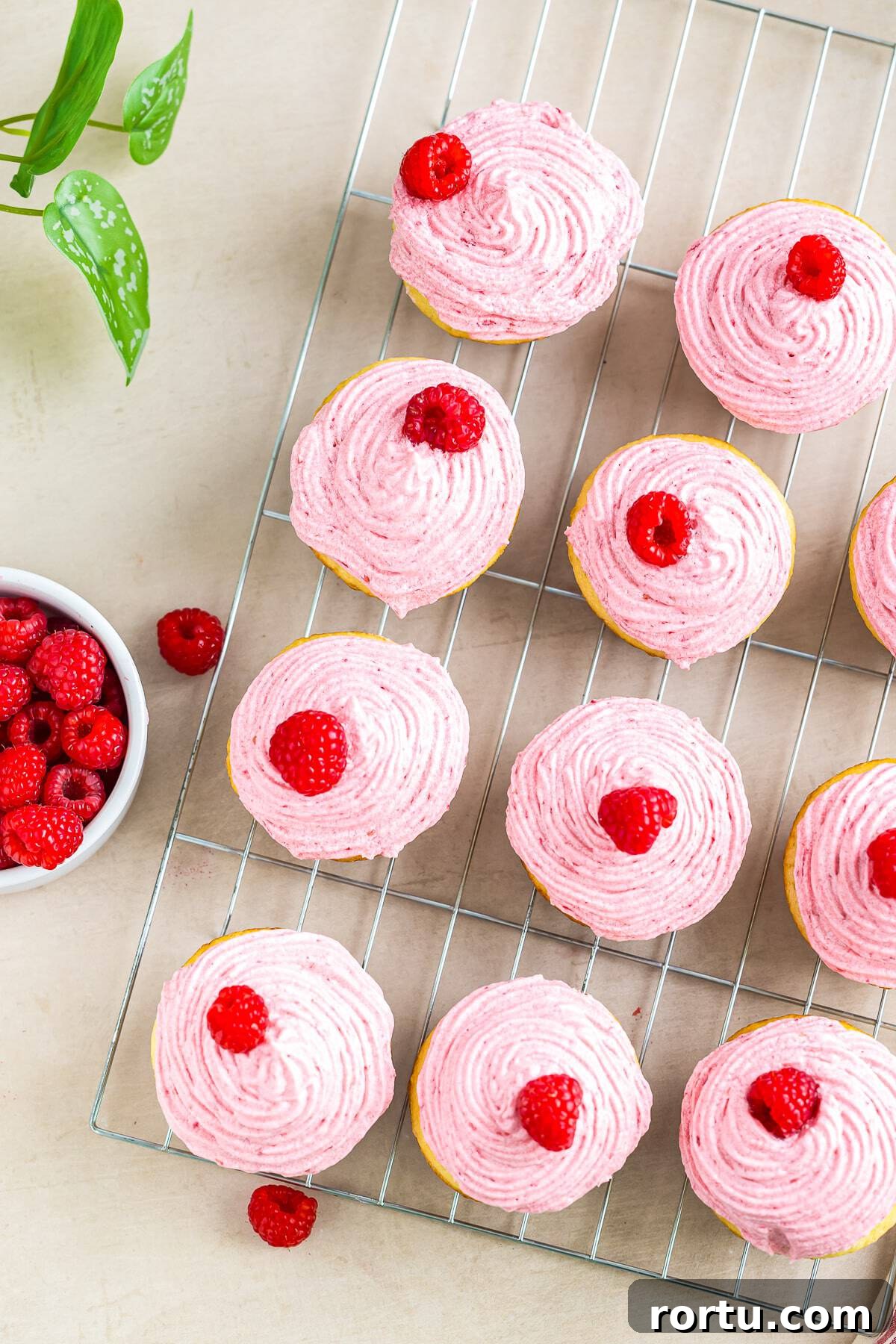 Almond Cupcakes with Fresh Raspberry Buttercream Frosting, a simple, beautiful yummy dessert! Raspberry Cupcakes on a wire rack overhead shot
