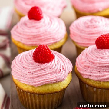 Almond Raspberry Cupcakes with Frangipane Filling Recipe 4 img 8604 9