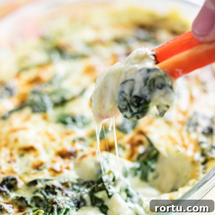 The Royal Coach Bread Bowl for Dip -> Royal Coach Bread Bowl Recipe for Party Dips 15 Closeup of a pepper being dipped in spinach dip.