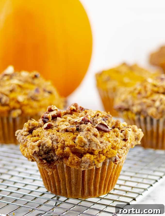 Pumpkin Muffins with Pecan Streusel Recipe 2 an Easy Pumpkin Muffins with Pecan Streusel on wire cooking rack