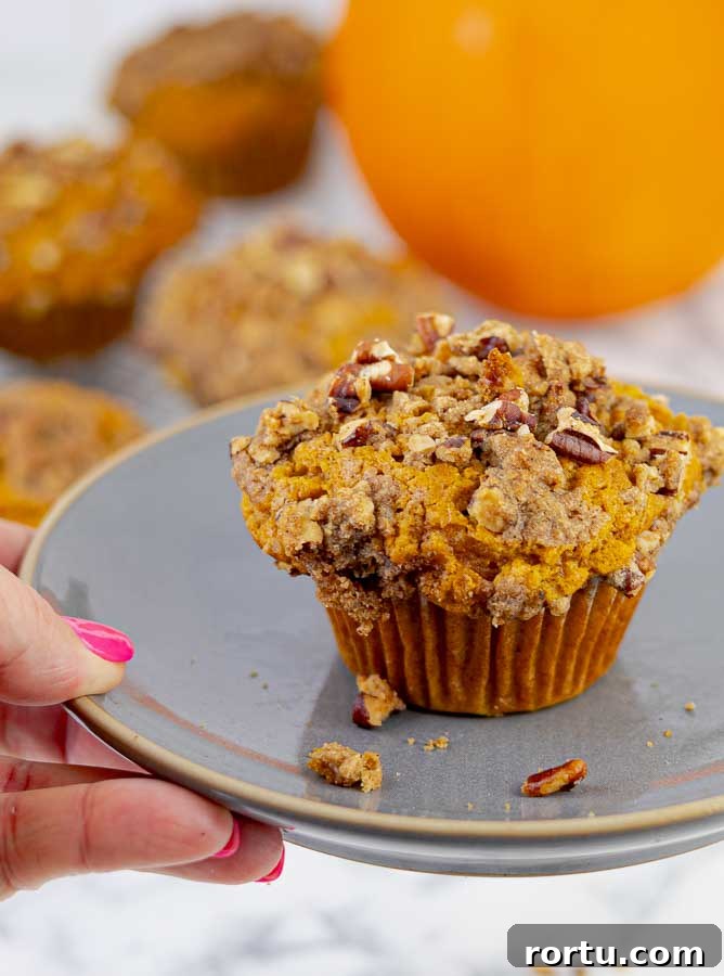 Pumpkin Muffins with Pecan Streusel Recipe 6 an Easy Pumpkin Muffins with Pecan Streusel on gray plate being held by a hand