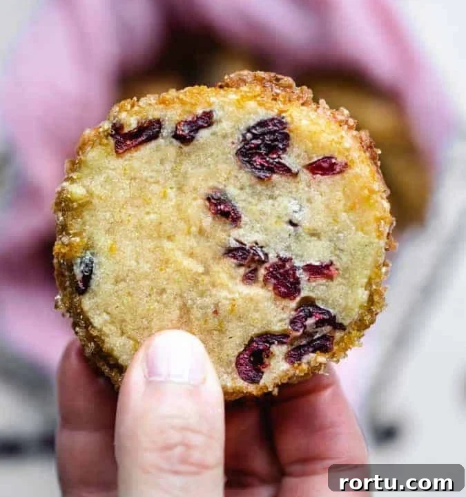 close-up photo of orange cranberry shortbread cookie being held in the air