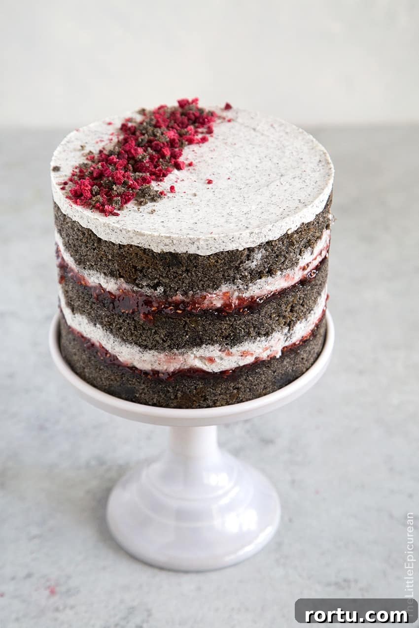 Raspberry Black Sesame Cake 