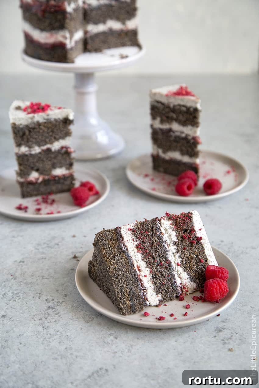 Raspberry Black Sesame Cake 