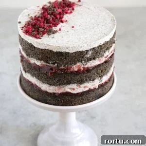 Raspberry Black Sesame Cake