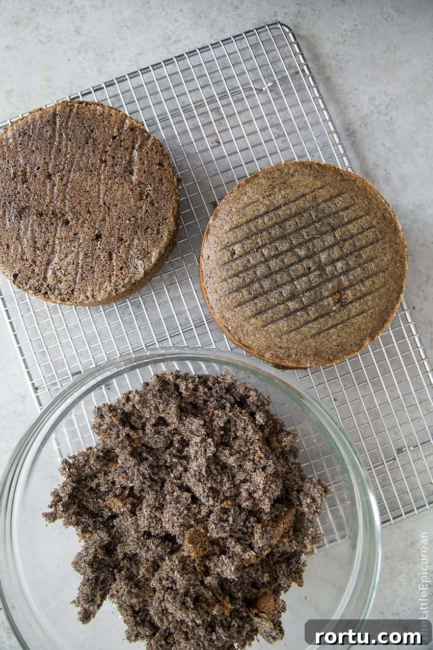 Raspberry Black Sesame Cake 