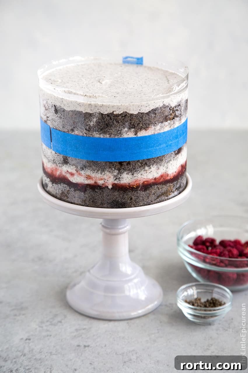 Raspberry Black Sesame Cake 