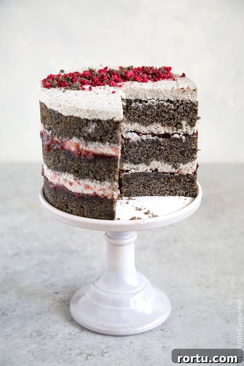 Raspberry Black Sesame Cake 
