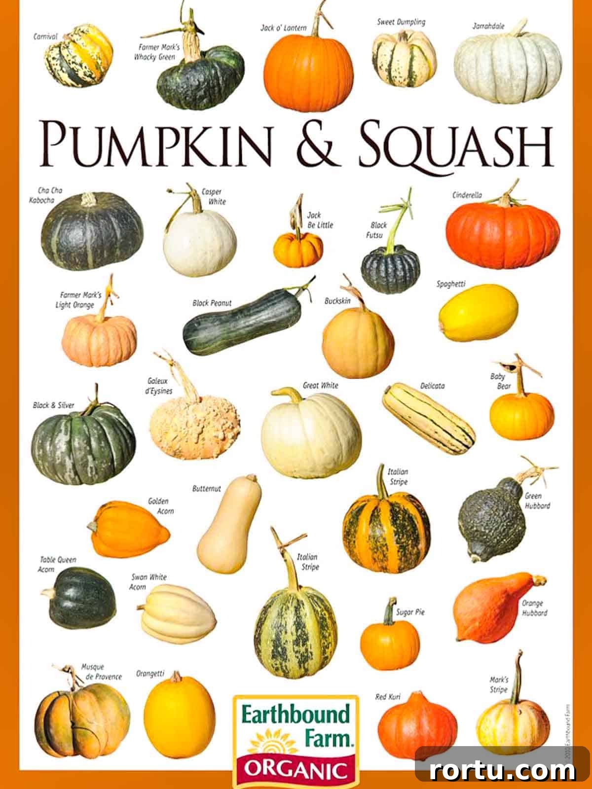 Pumpkins and squash options