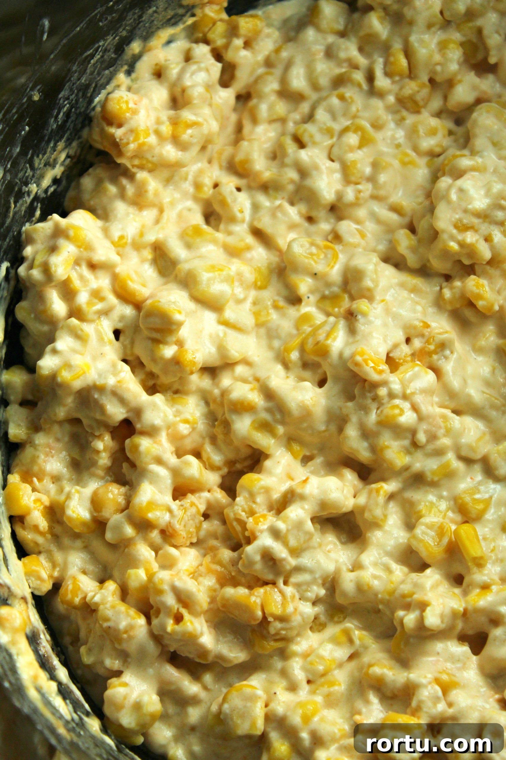 Slow cooker dish