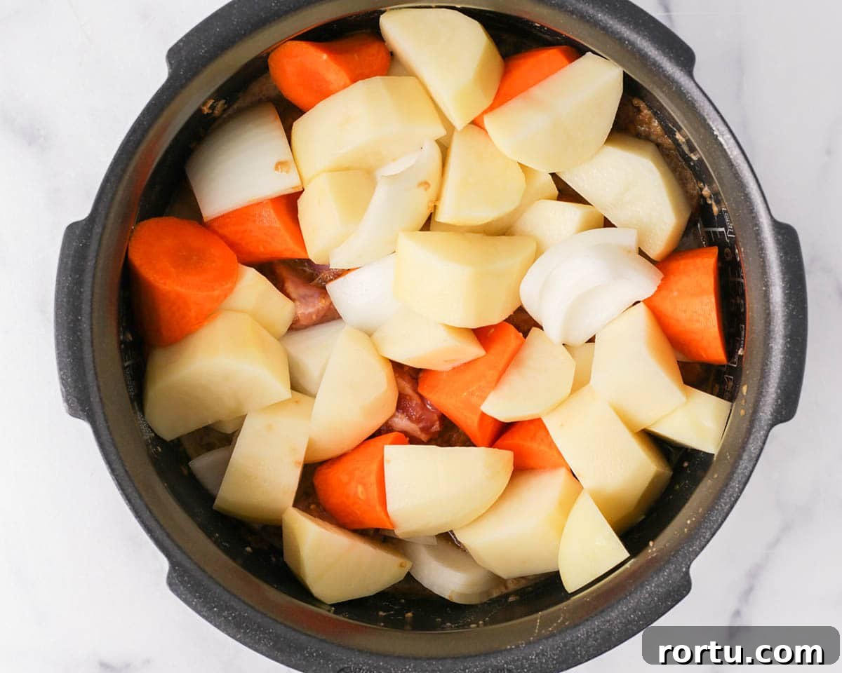 Korean Braised Pork Ribs (Dwaeji Galbijjim) Recipe 11 img 9705 10